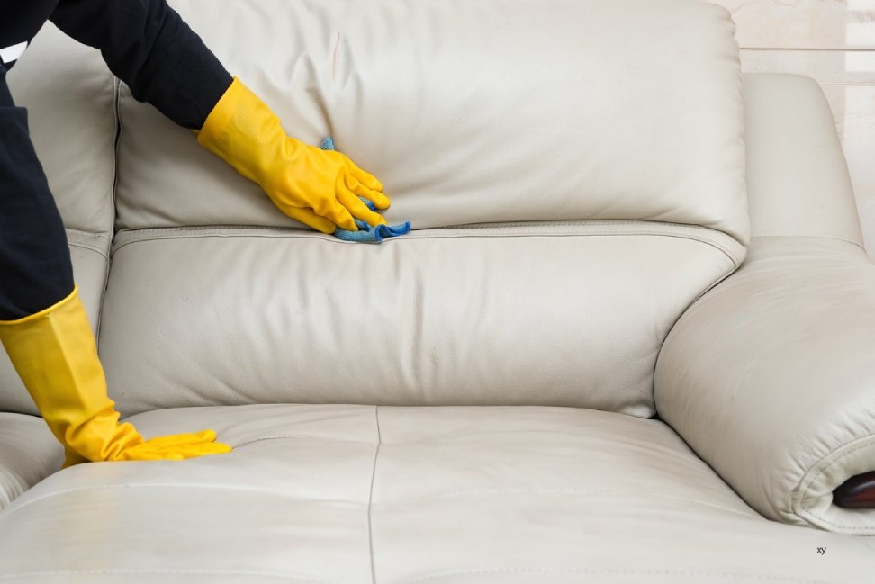 Give Your Suede Couch the TLC It Deserves