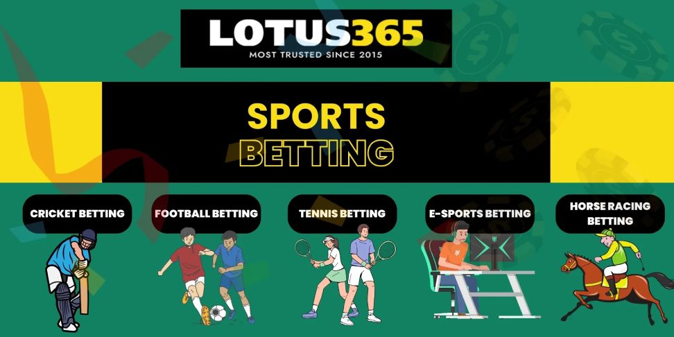 Lotus365's Efforts in Combatting Problem Gambling
