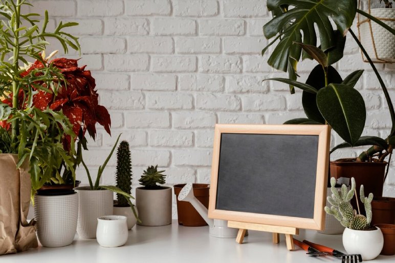 Minimalist Metal Plant Stand