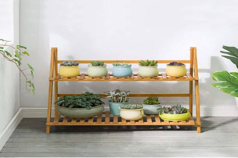 plant stand indoor
